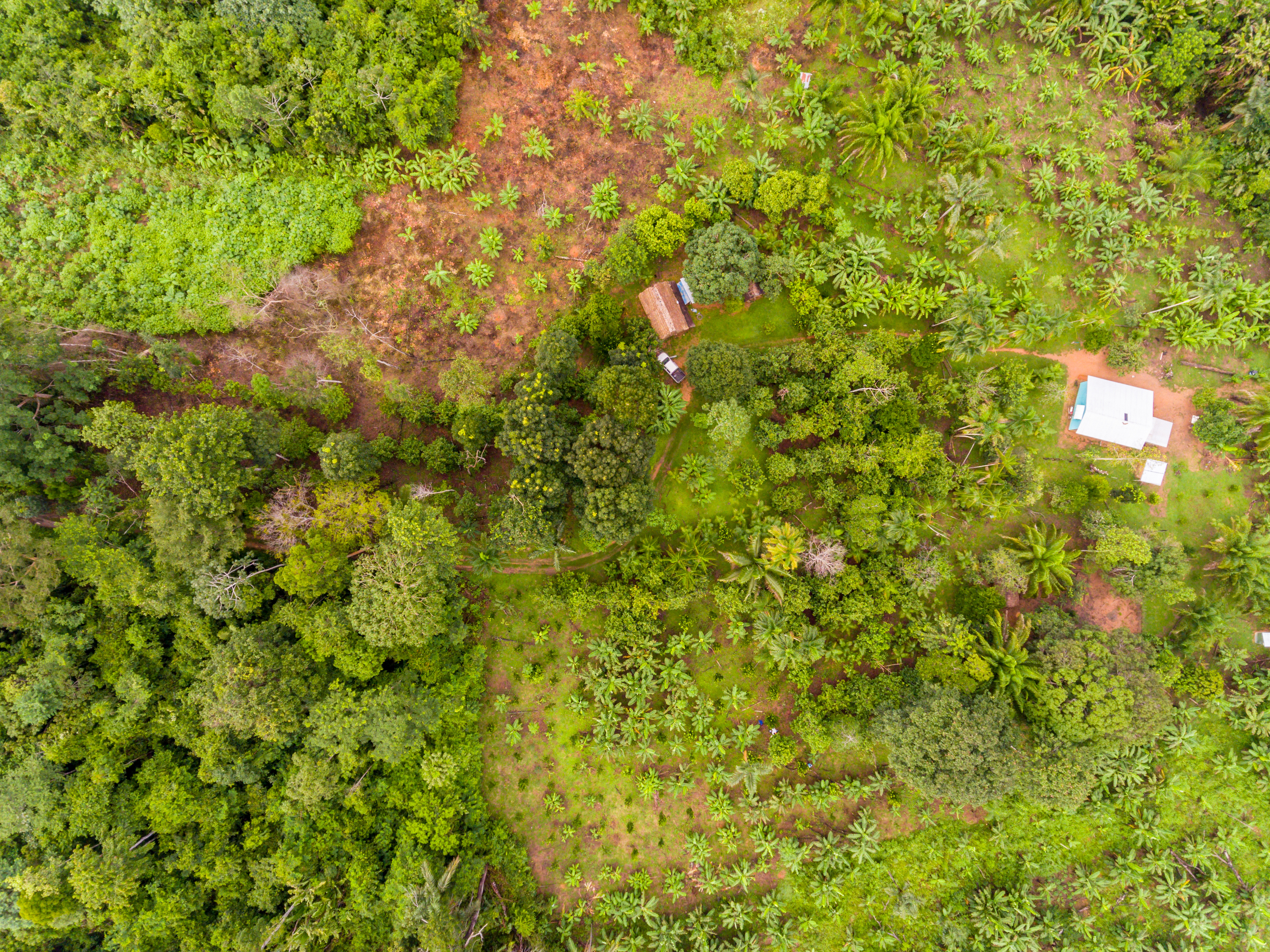 AdobeStock_286769996 land conversion Brazil rainforest. Licenced.jpeg