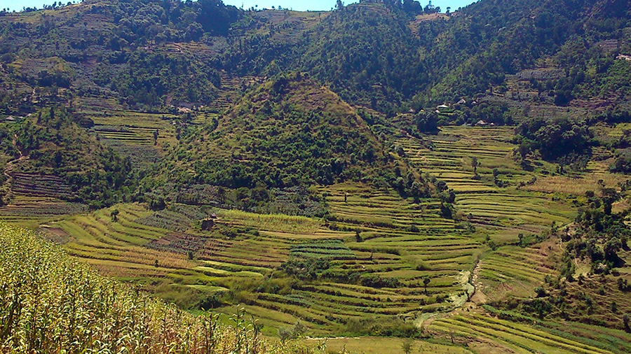 Bench in Adwa.jpg