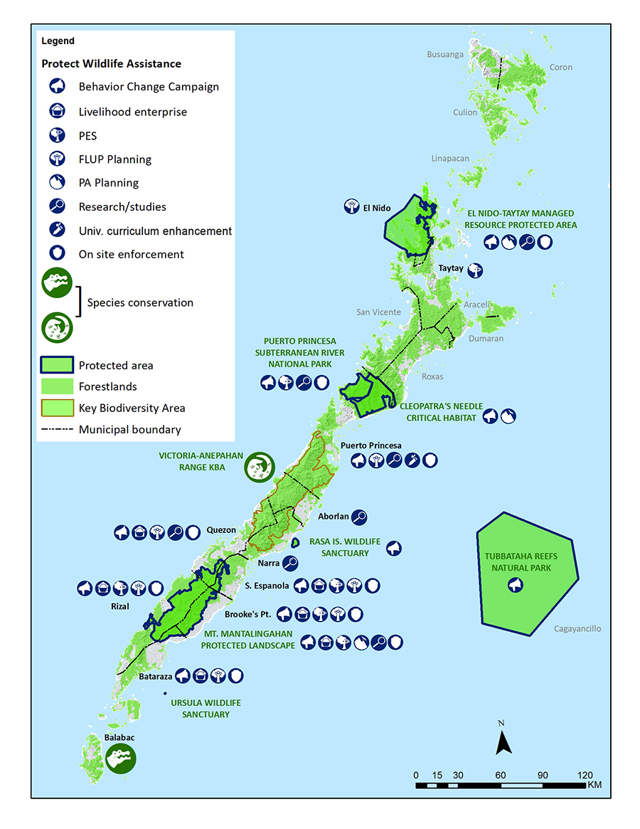 Palawan Site Map-62a7d0.jpg