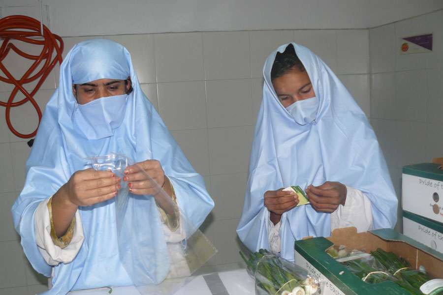Photo of Afghan women working in a vegetable packing facility