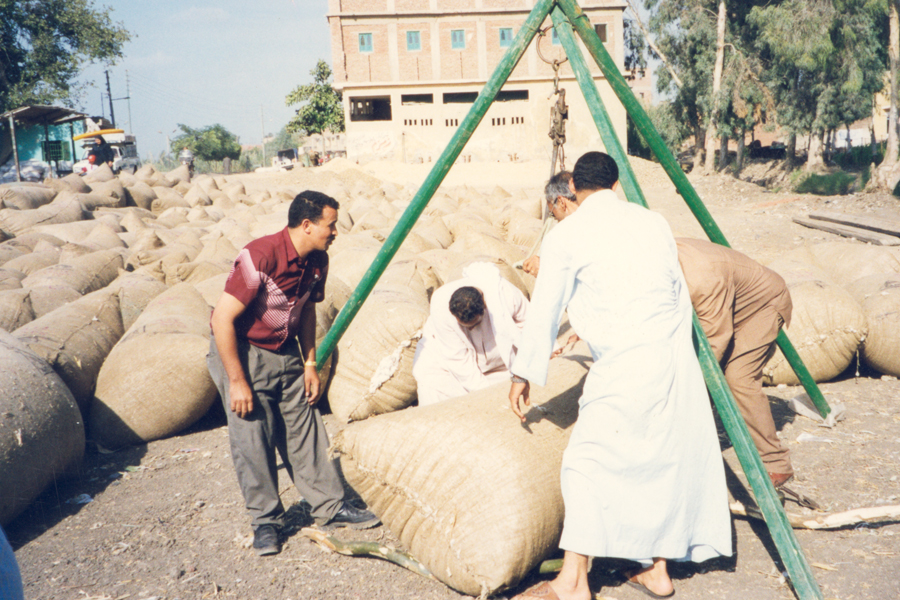 Photo of a men moving bags of cotton.