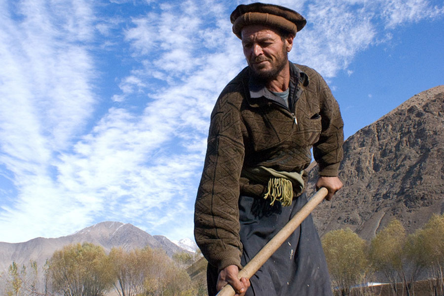 Photo of a man tending crops in Afghanistan.