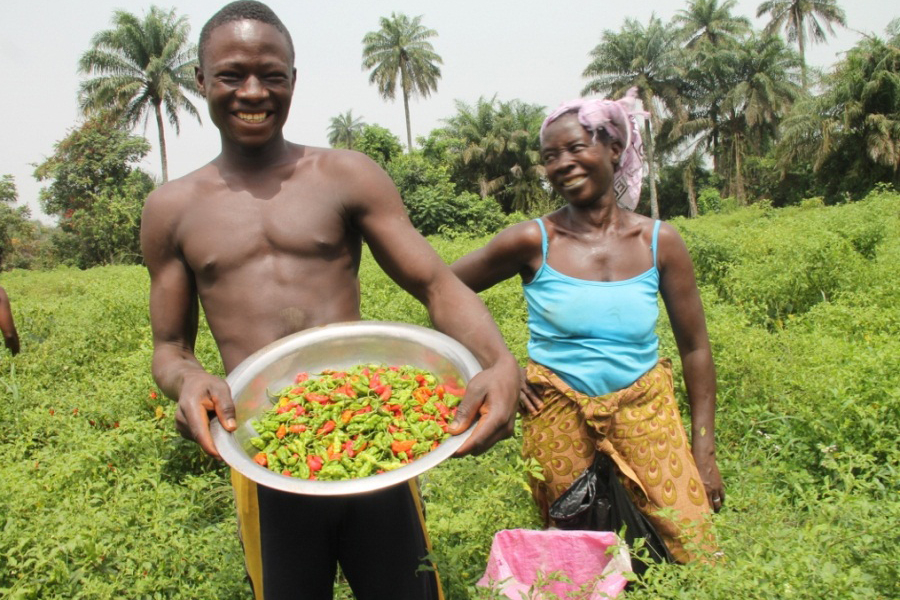 Photo of a farmer displaying the seasonal vegetables that agricultural loans have helped him grow.
