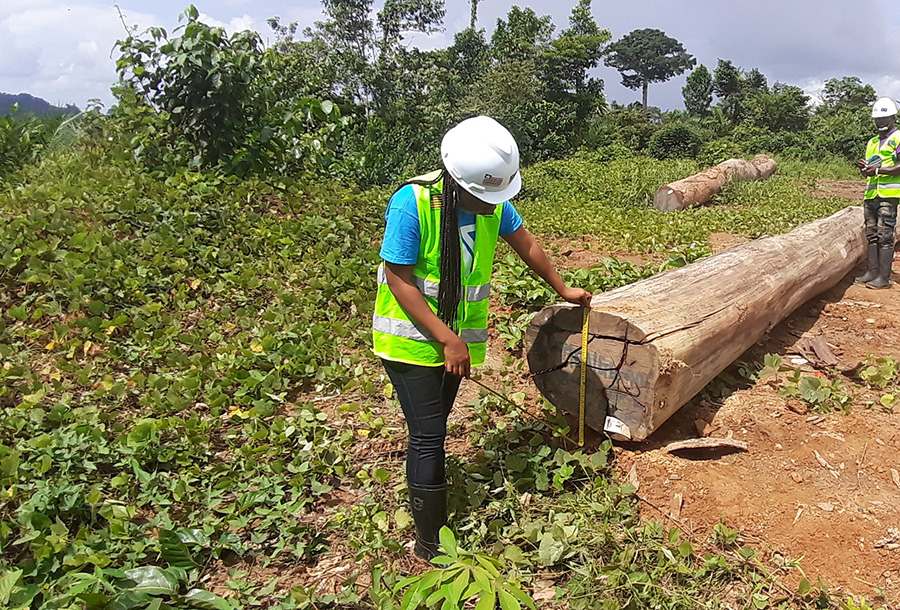 female CoC ranger determining log diameter.jpg